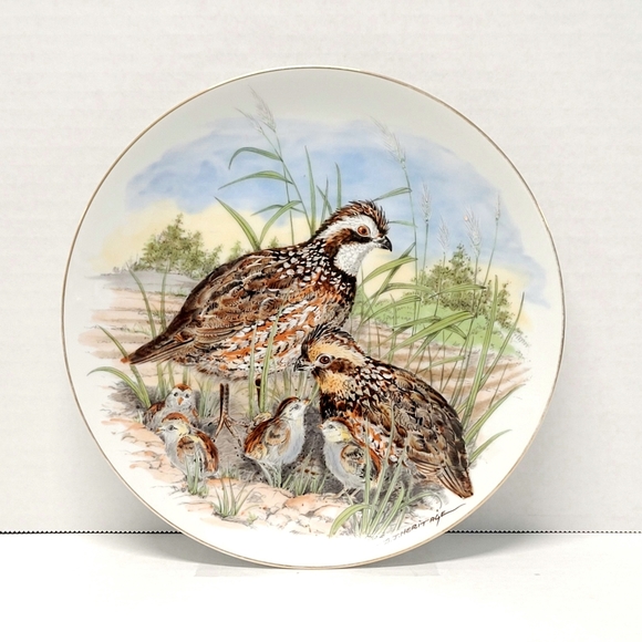 Southern Living Art Vintage Collectible Bobwhite Quail Southern